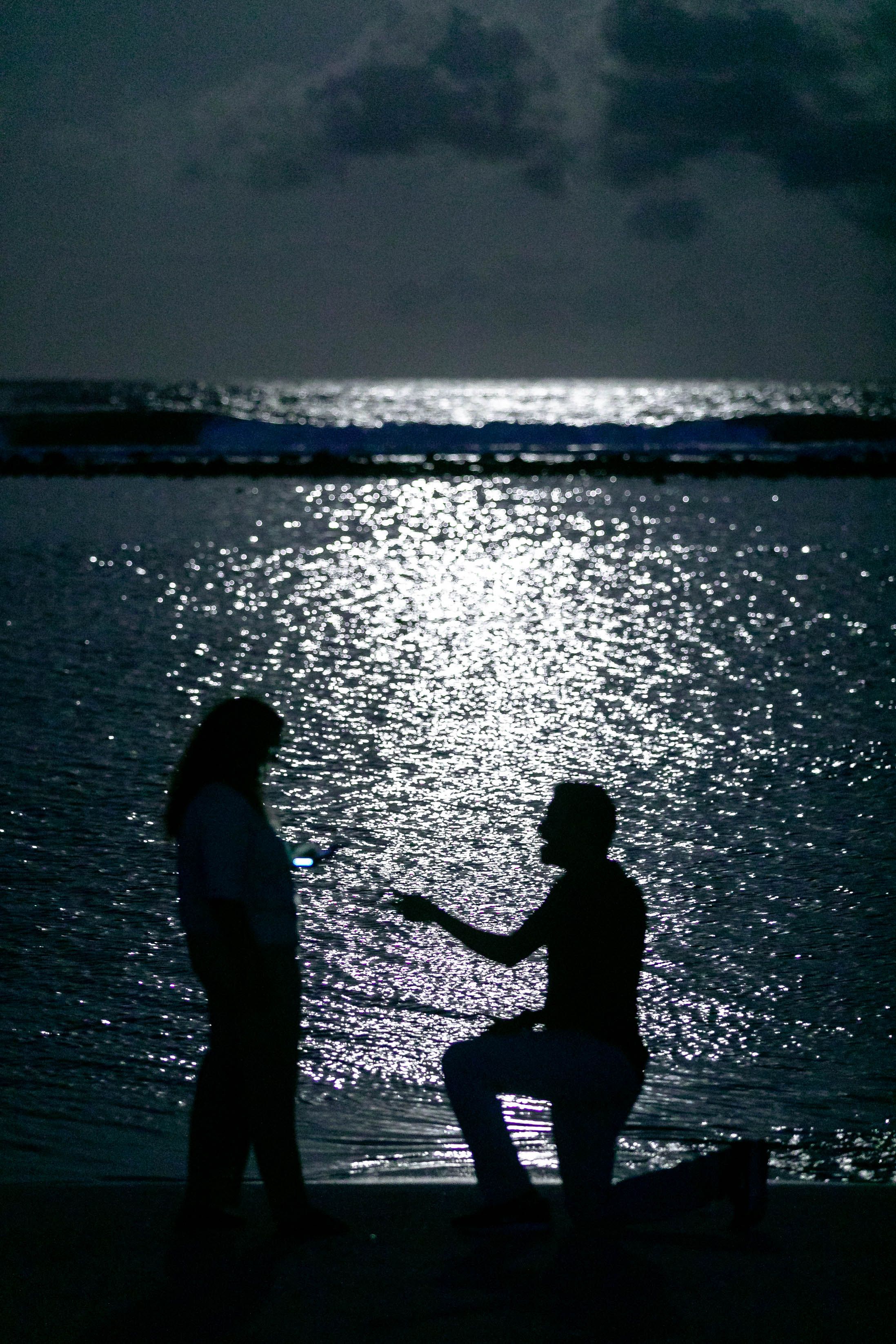 The Proposal